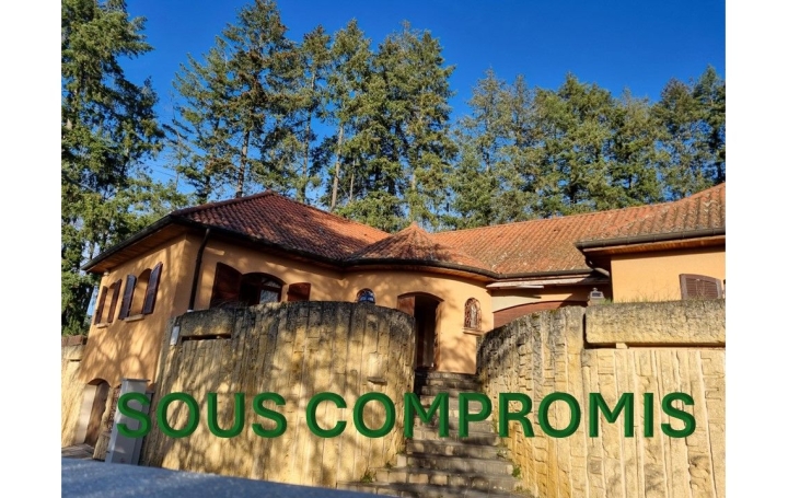 Réseau Immo-diffusion : Maison  SAINT-GALMIER  195 m2 399 000 € 