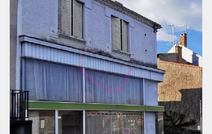 Réseau Immo-diffusion : Immeuble  BEAUPREAU  155 m2 159 000 € 