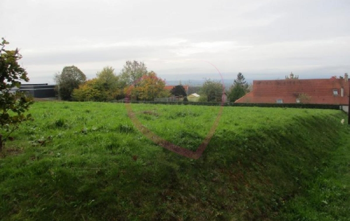 Réseau Immo-diffusion : Terrain  SAINT-MARTIN-DES-BESACES   26 932 € 