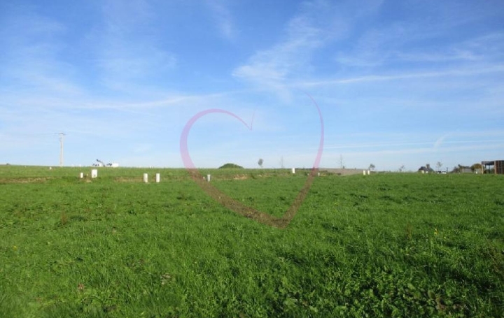 Réseau Immo-diffusion : Terrain  SAINT-MARTIN-DES-BESACES  496 m2 30 000 € 