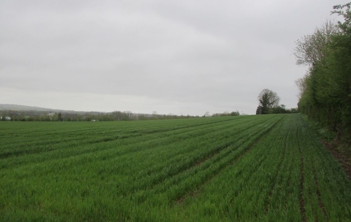 Réseau Immo-diffusion : Terrain  VAL-DE-DROME   47 500 € 