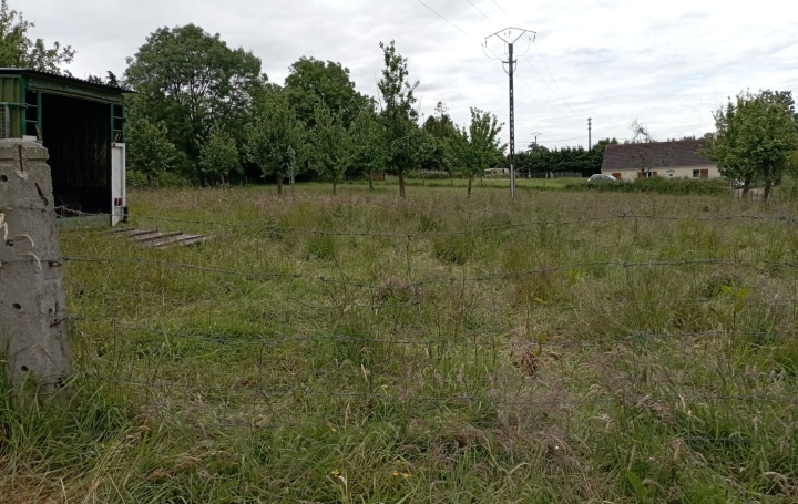 Terrain LE TOURNEUR (14350)  1 000 m2 30 000 € 