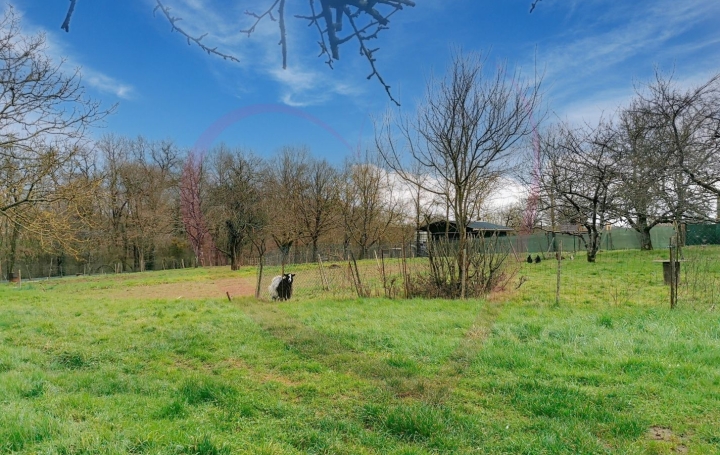 Maison BEAUPREAU-EN-MAUGES (49600)  81 m2 119 000 € 