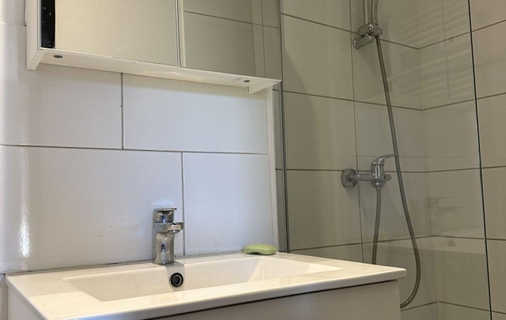 1 Pièce SAINT-ETIENNE (42100)  27 m2 475 € 