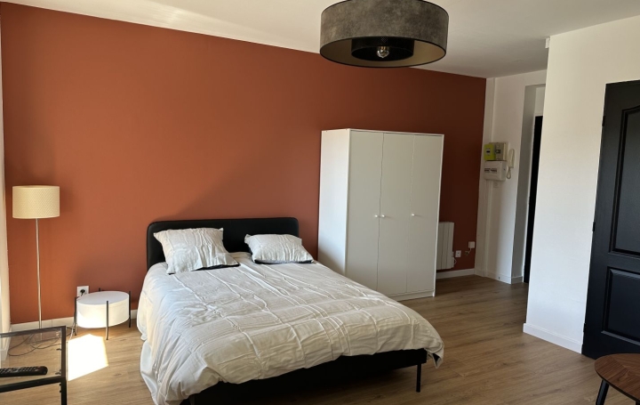 Studio SAINT-ETIENNE (42100)  27 m2 500 € 