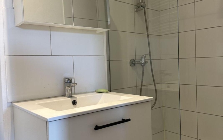 Studio SAINT-ETIENNE (42100)  27 m2 500 € 