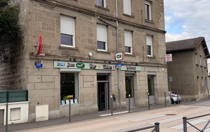 Immeuble SAINT-ETIENNE (42000) 509 m<sup>2</sup> 593 000 € 