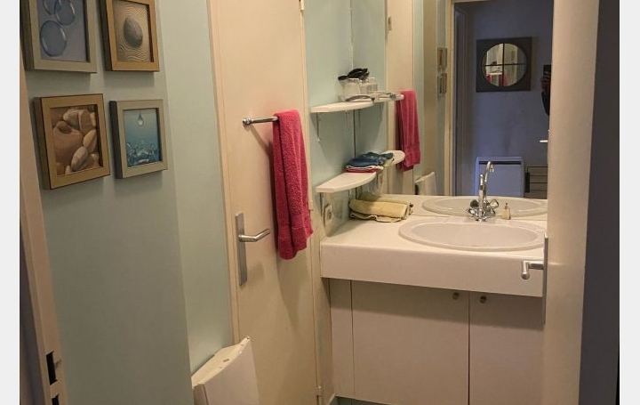 Studio CHARENTON-LE-PONT (94220)  20 m2 195 000 € 