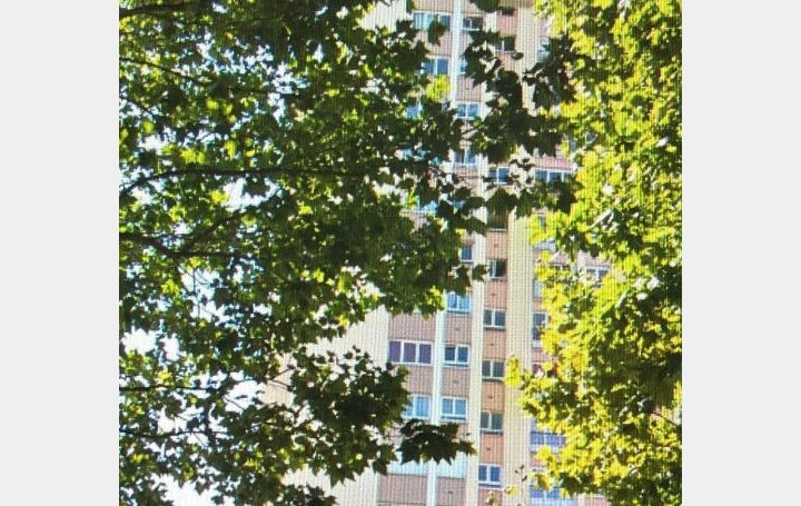 4 Pièces ALFORTVILLE (94140)  72 m2 199 000 € 