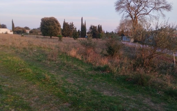 Terrain MOUSSOULENS (11170)   70 000 € 