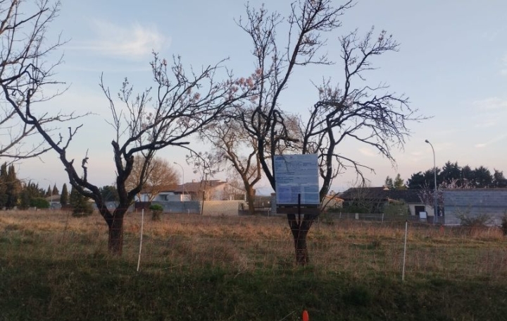 Terrain MOUSSOULENS (11170)   70 000 € 