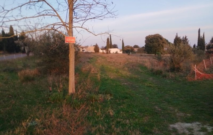 Terrain MOUSSOULENS (11170)   70 000 € 