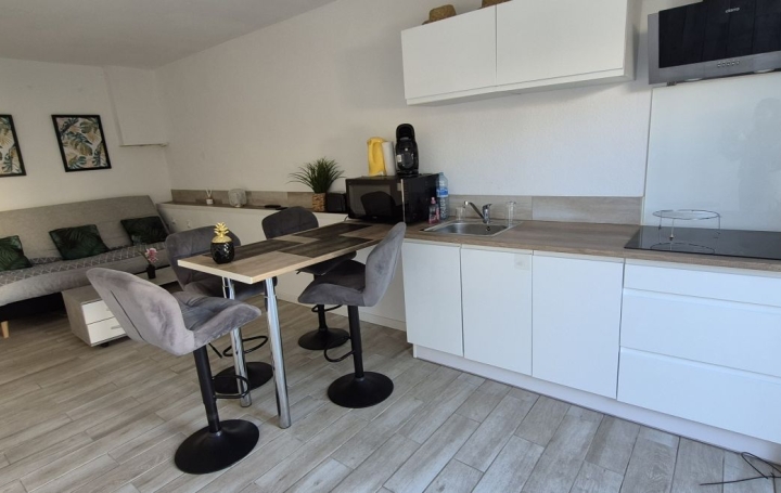 Studio LE CAP-D'AGDE (34300)  21 m2 89 000 € 