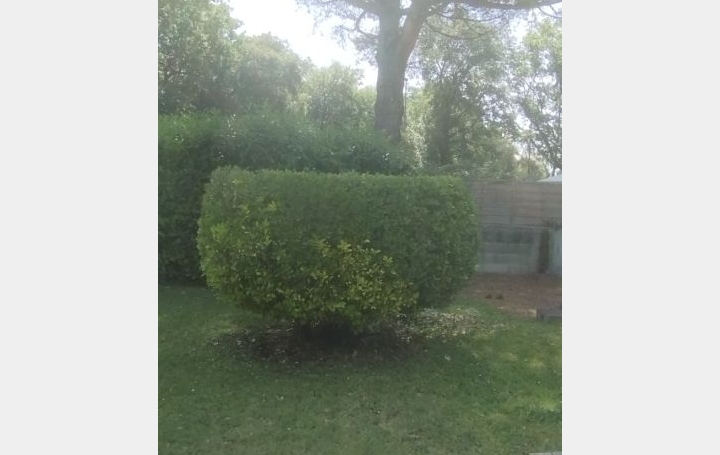 Maison CAUX-ET-SAUZENS (11170)  100 m2 239 000 € 