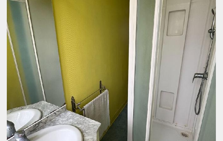 1 Pièce LIMOGES (87000)  33 m2 450 € 