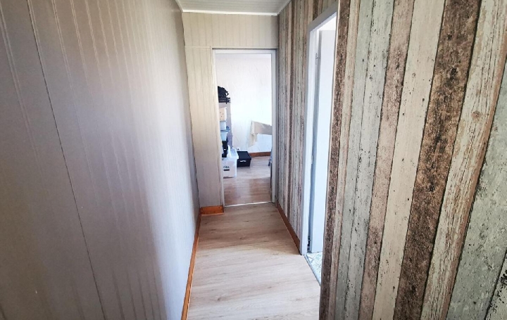4 Pièces AIXE-SUR-VIENNE (87700)  78 m2 650 € 
