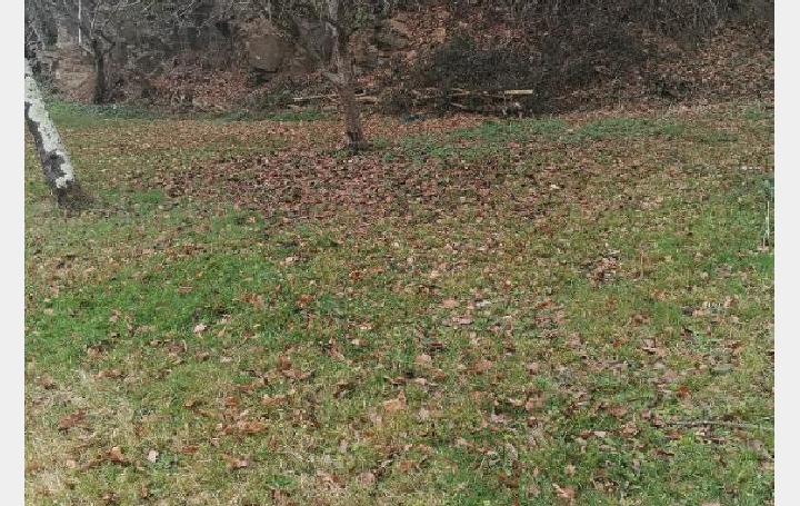 Local commercial AIXE-SUR-VIENNE (87700)  1 000 m2 129 300 € 