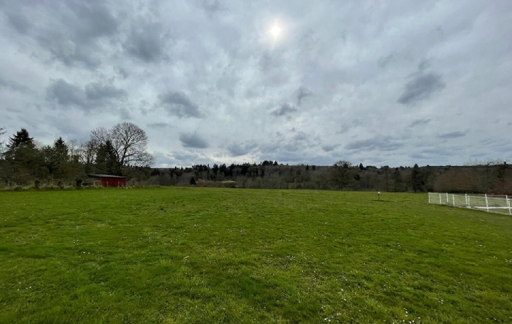 Réseau Immo-diffusion : Terrain  CUSSAC  1 550 m2 23 000 € 