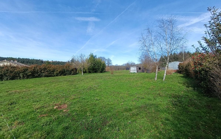 Réseau Immo-diffusion : Terrain  SAINT-PRIEST-SOUS-AIXE  1 616 m2 39 375 € 
