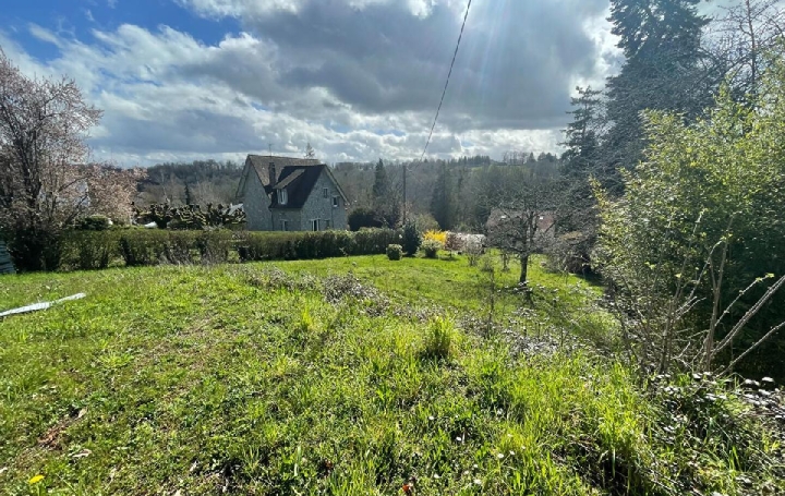 Réseau Immo-diffusion : Terrain  AIXE-SUR-VIENNE  591 m2 25 300 € 