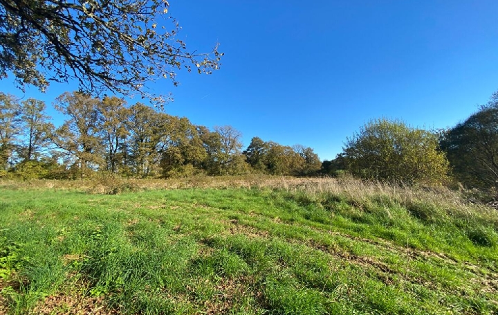 Réseau Immo-diffusion : Terrain  BURGNAC  13 150 m2 8 500 € 