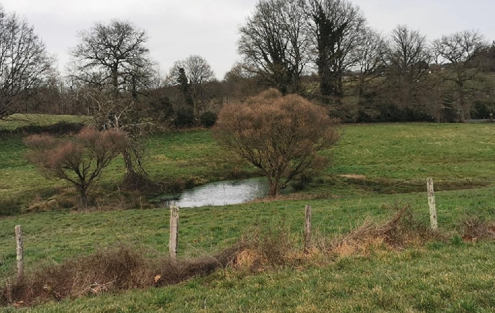 Maison PAGEAS (87230)  213 m2 258 475 € 