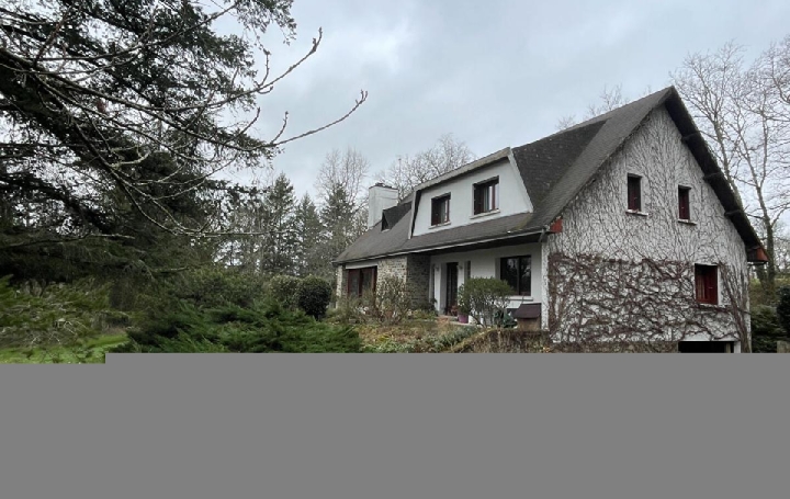 Maison BESSINES-SUR-GARTEMPE (87250)  208 m2 240 540 € 