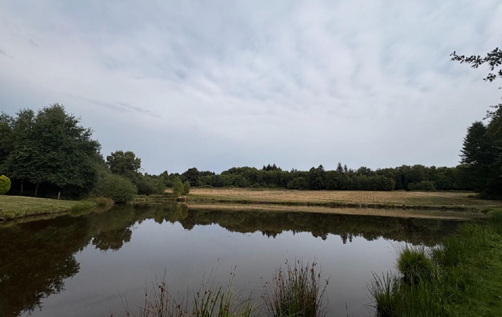 Terrain DOURNAZAC (87230)  72 467 m2 81 750 € 