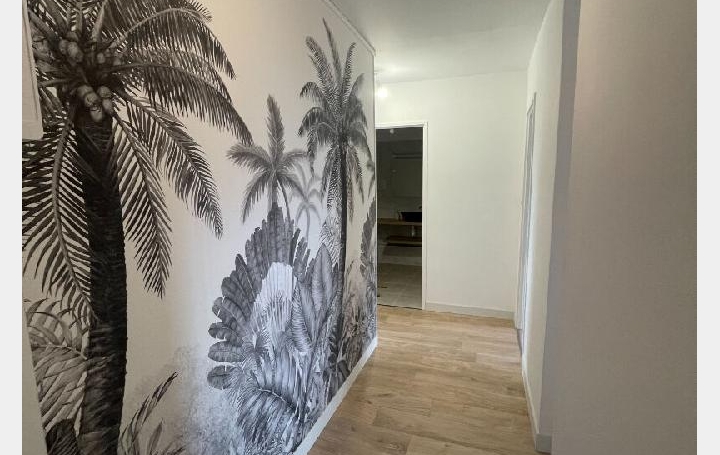 3 Pièces LIMOGES (87000)  50 m2 92 225 € 