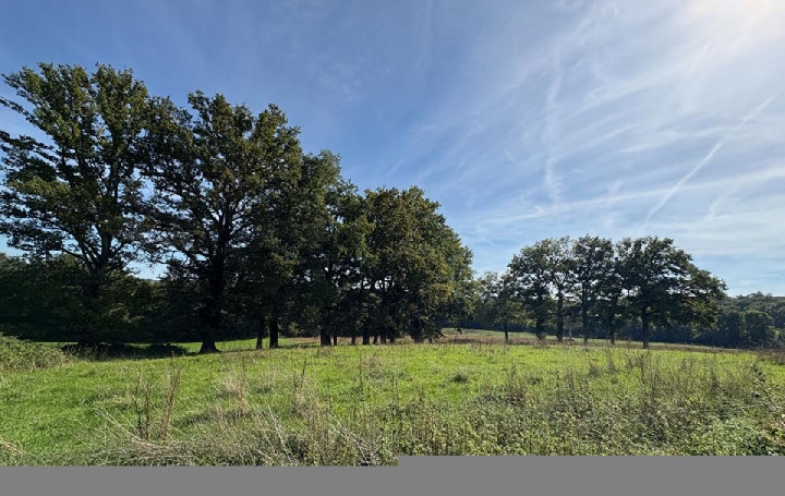 Maison NEXON (87800)  145 m2 69 300 € 