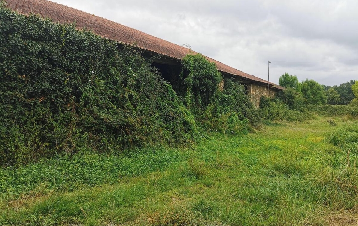 Maison MEILHAC (87800)  270 m2 160 125 € 