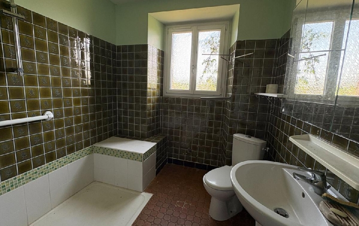 Maison SAINT-MARTIN-LE-VIEUX (87700)  126 m2 299 000 € 