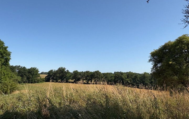 Maison SAINT-MARTIN-LE-VIEUX (87700)  126 m2 299 000 € 