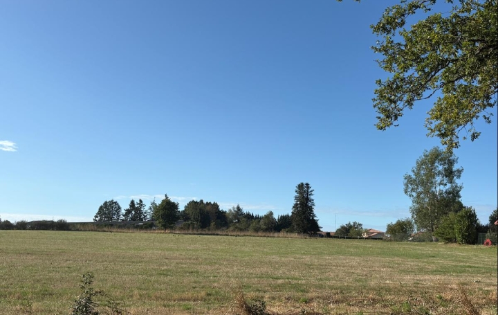 Terrain FLAVIGNAC (87230) 2 000 m<sup>2</sup> 28 625 € 