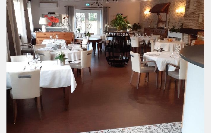 Maison SEREILHAC (87620)  1 000 m2 501 600 € 