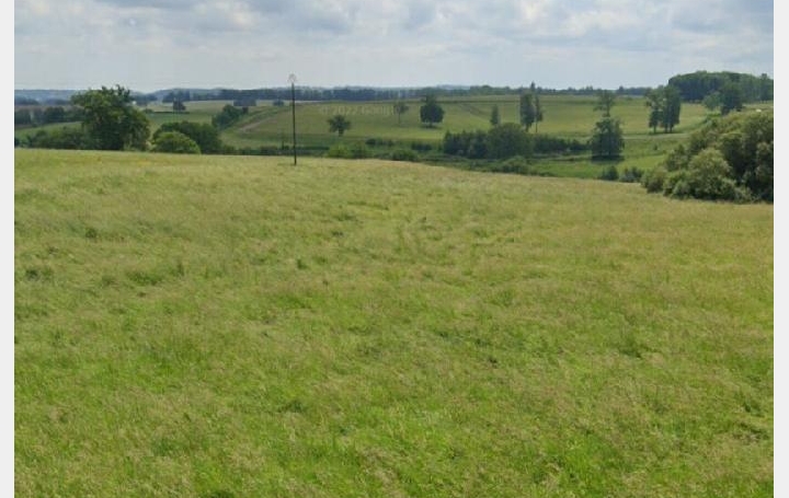 Terrain FLAVIGNAC (87230) 6 392 m<sup>2</sup> 28 500 € 