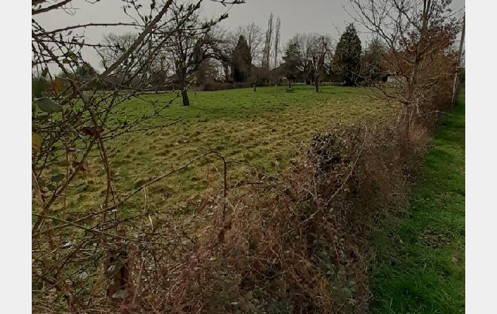 Terrain BOSMIE-L'AIGUILLE (87110) 880 m<sup>2</sup> 47 040 € 