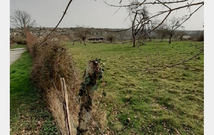 Terrain BOSMIE-L'AIGUILLE (87110)  880 m2 47 040 € 