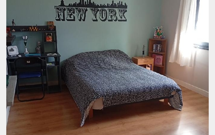 Maison SEREILHAC (87620)  157 m2 247 930 € 