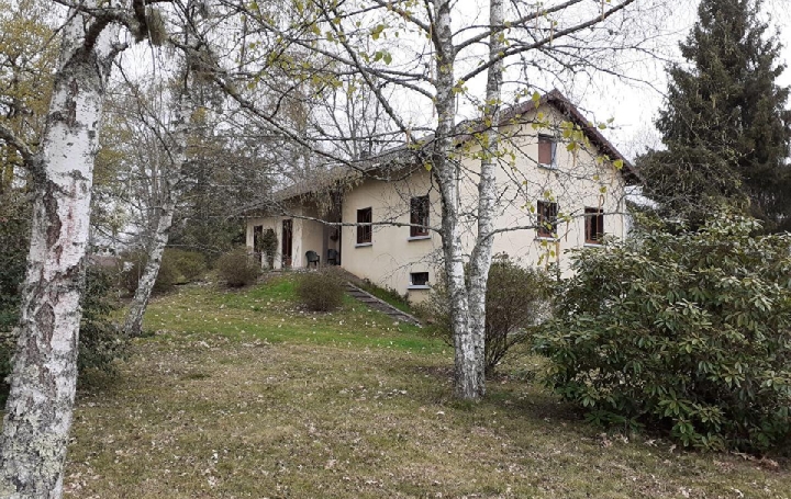 Maison / Villa VERNEUIL-SUR-VIENNE (87430) 140 m<sup>2</sup> 280 000 € 