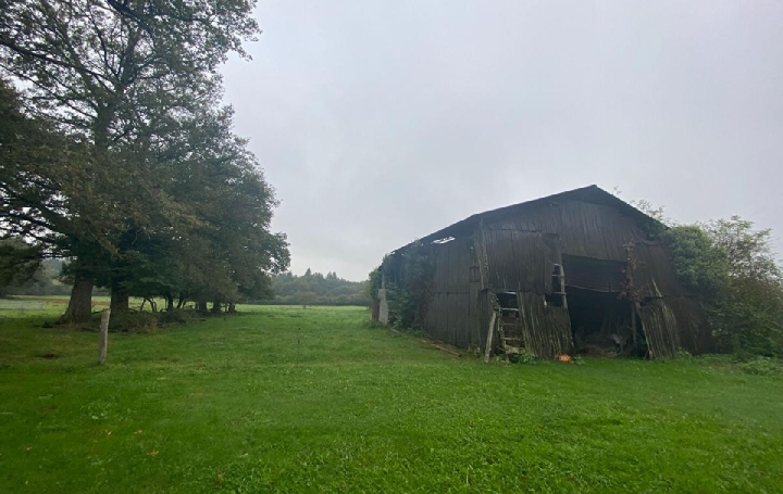 Maison SAINT-LAURENT-SUR-GORRE (87310)  91 m2 116 370 € 