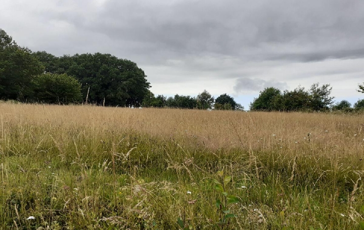 Terrain SAINT-PRIEST-SOUS-AIXE (87700)  6 611 m2 5 000 € 