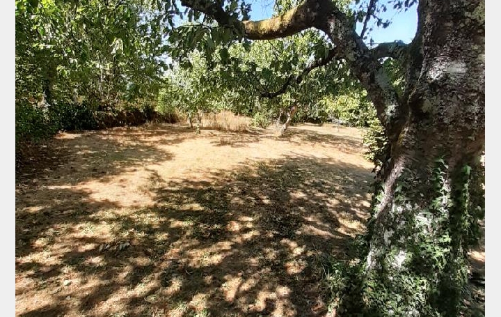 Maison GORRE (87310)  160 m2 212 000 € 
