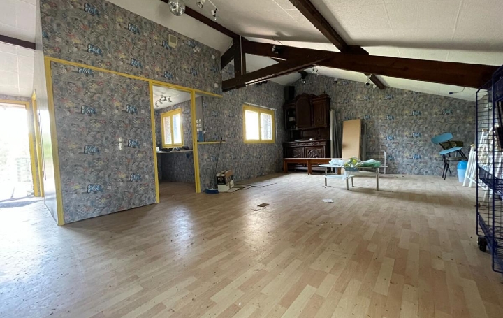 Maison LA BAZEUGE (87210)  195 m2 149 450 € 