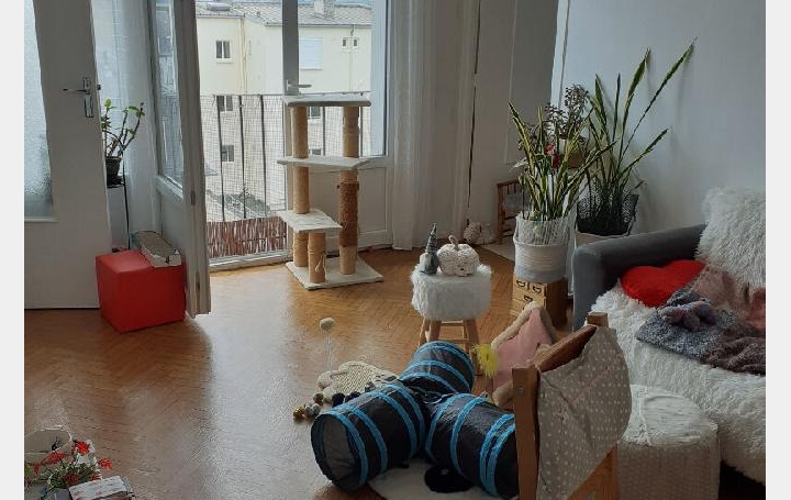 2 Pièces LIMOGES (87000)  36 m2 59 000 € 