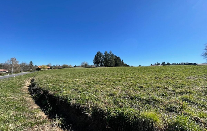 Terrain FEYTIAT (87220)  1 257 m2 79 570 € 