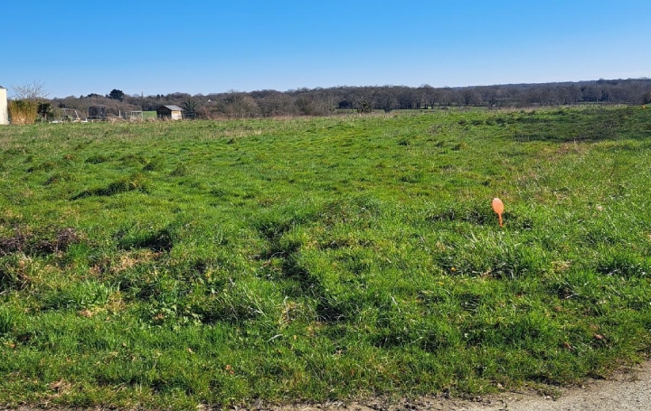 Réseau Immo-diffusion : Terrain  DREFFEAC   79 000 € 