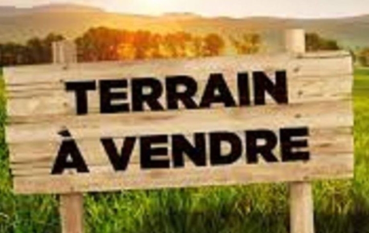 Réseau Immo-diffusion : Terrain  NIVILLAC  379 m2 62 000 € 