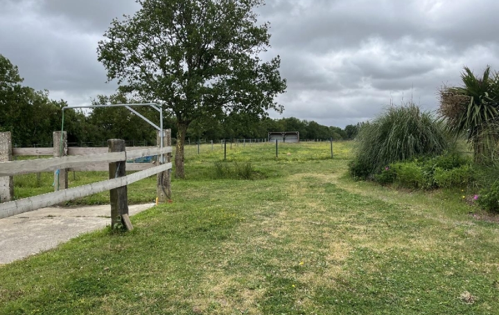 Local commercial LA CHAPELLE-LAUNAY (44260)  260 000 m2 494 400 € 