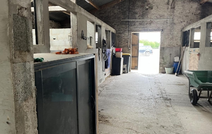 Local commercial LA CHAPELLE-LAUNAY (44260)  260 000 m2 494 400 € 